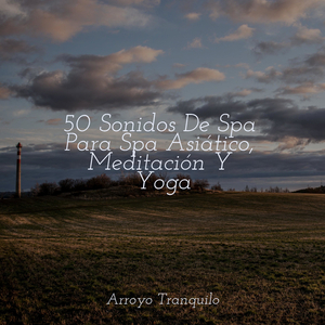 Momentos Tranquilos En Rosa