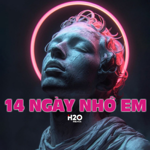 14 Ngày Nhớ Em (Ness Remix)