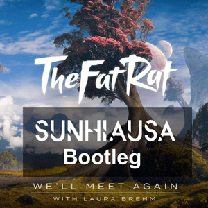 We'll Meet Again (Sunhiausa Bootleg)