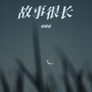 故事很长（Dj版）