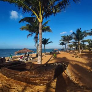 咖啡厅的回忆 伴奏