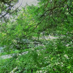 Women Should Be Able To Sue Their Boyfriends If They're Really Bad In Bed