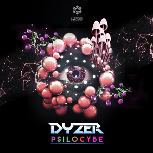 Psilocybe (Original Mix)