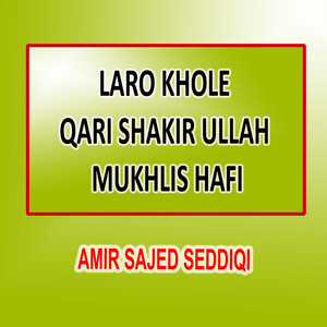 Laro Khole Qari Shakir Ullah Mukhlis Hafi