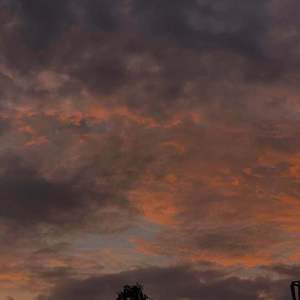 D.L.F（prod by mozzie）