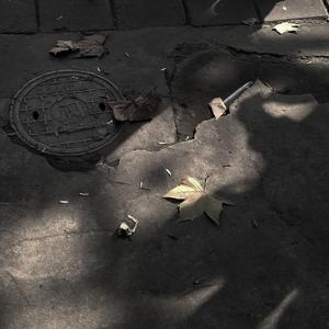 错季（女生版）（翻自 秋原依）