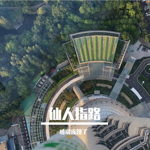 花,太阳,彩虹,你 c