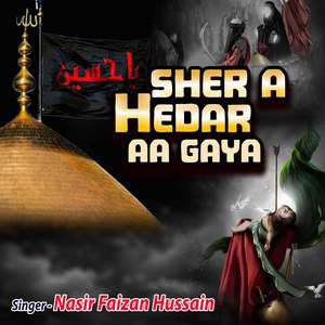Sher E Haider Ho Gaya