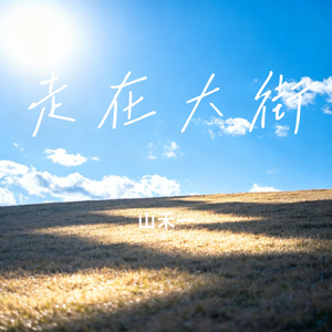 走在大街