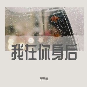 我在你身后