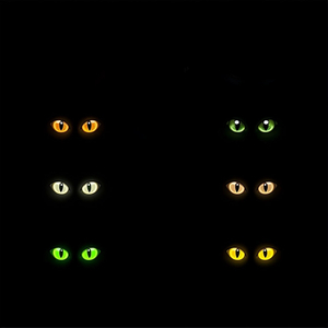 Кошачий Прайд