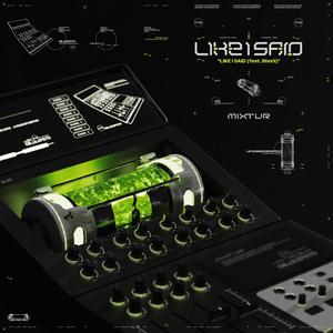 Like I Said (feat. Shorii)