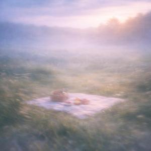Dreamfield