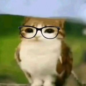 白起哥哥断了大