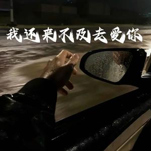 不爱一回不知心多痛