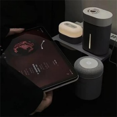 今日方知我是我