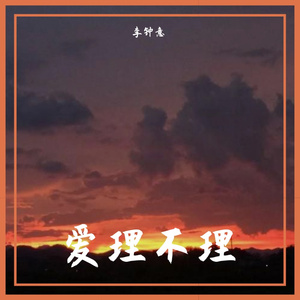 爱理不理(抖音完整版)