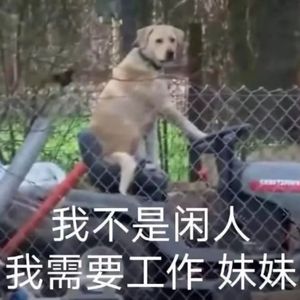 刀剑应答我（女声独唱版）