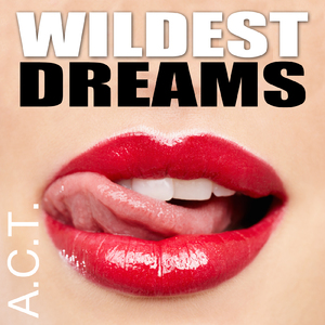 Wildest Dreams (Single Version)