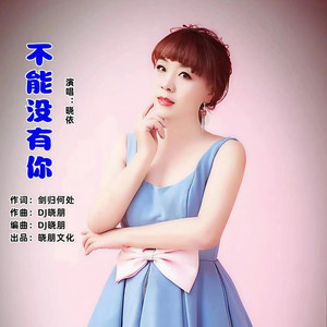 不能没有你 (伴奏)