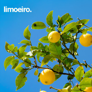 Kayky Reizinho, Pietro..