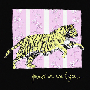 Quebrando el Cascarón