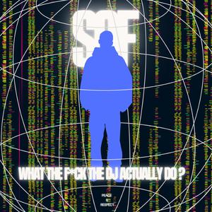 What The **** The DJ Actually Do ?