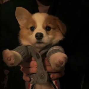 在无能为力的年纪遇到你