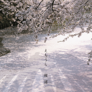 桜道