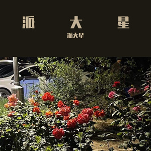 山楂树之恋（翻自 程佳佳）