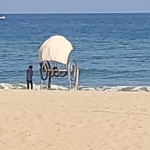 푸른바다