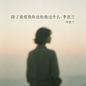 除了说爱我你还给我过什么