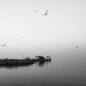 Dont you lie by shiashi