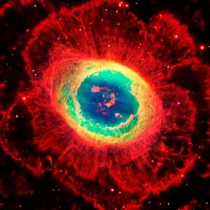 Oxy luv/slutx2 (reg+fast)