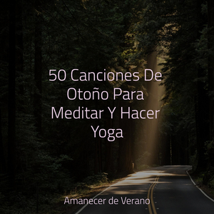 Rapsodia de Ensueño Brumoso