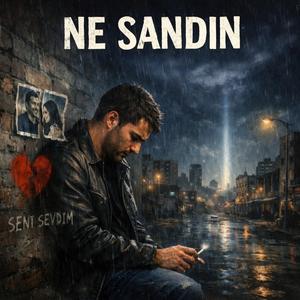 Ne Sandın