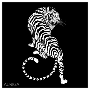 Auriga (Extended Mix)