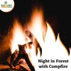 Dreamy Woodland Fire Sounds
