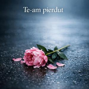 Te-am Pierdut