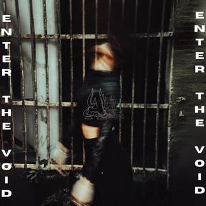 ENTER THE VOID