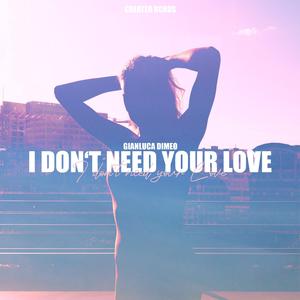 I Don't Need Your Love