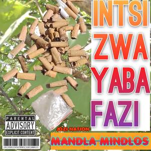 Mandla Mindlos Instizwa Yaba Fazi.