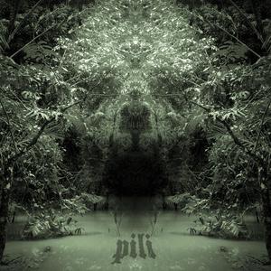 Pili