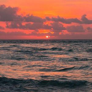 为敌（原唱：旺仔小乔）（翻自 旺仔小乔）