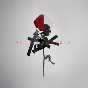 NO LIVE NO DREAM