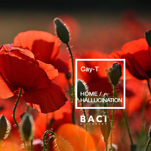 Home (Chill out Mix)