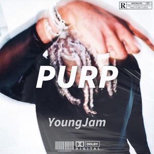 [FREE] 免费伴奏 "Purp" Rage Type Beat