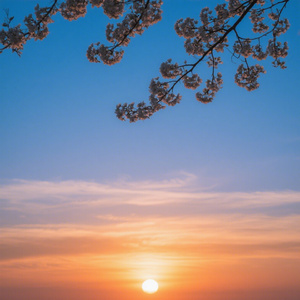 月光织梦