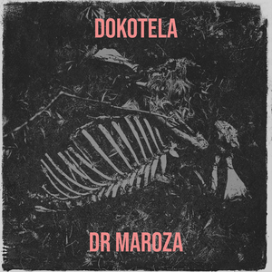 Dokotela