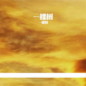 《眼眸藏星河的救赎 》